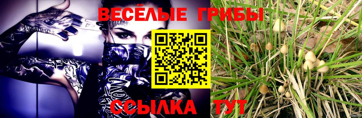 что такое   Галлюциногенные грибы Magic Shrooms  Вход с VPN  Тельмана  Галлюциногенные грибы прущие грибы 